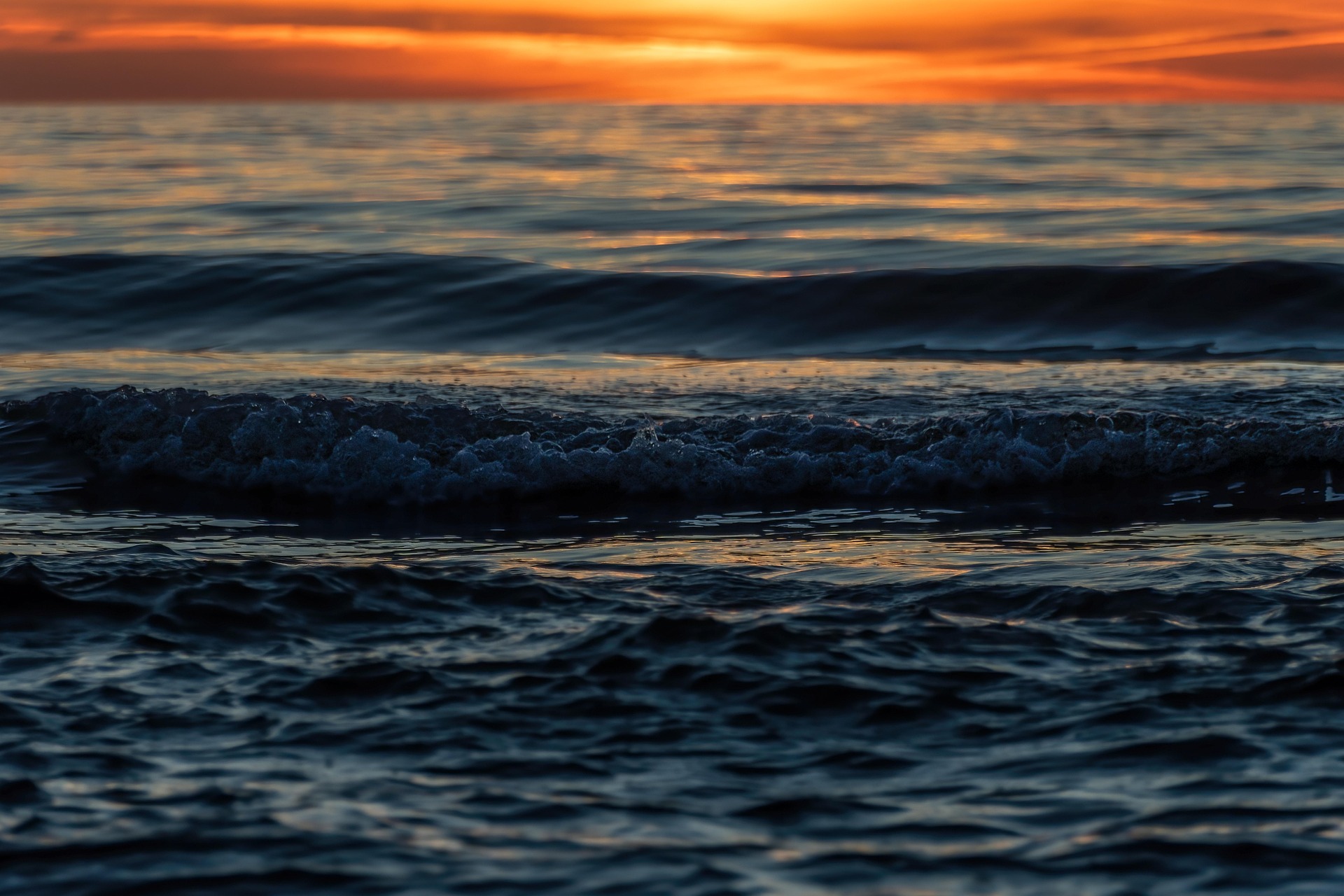 Coastal roots